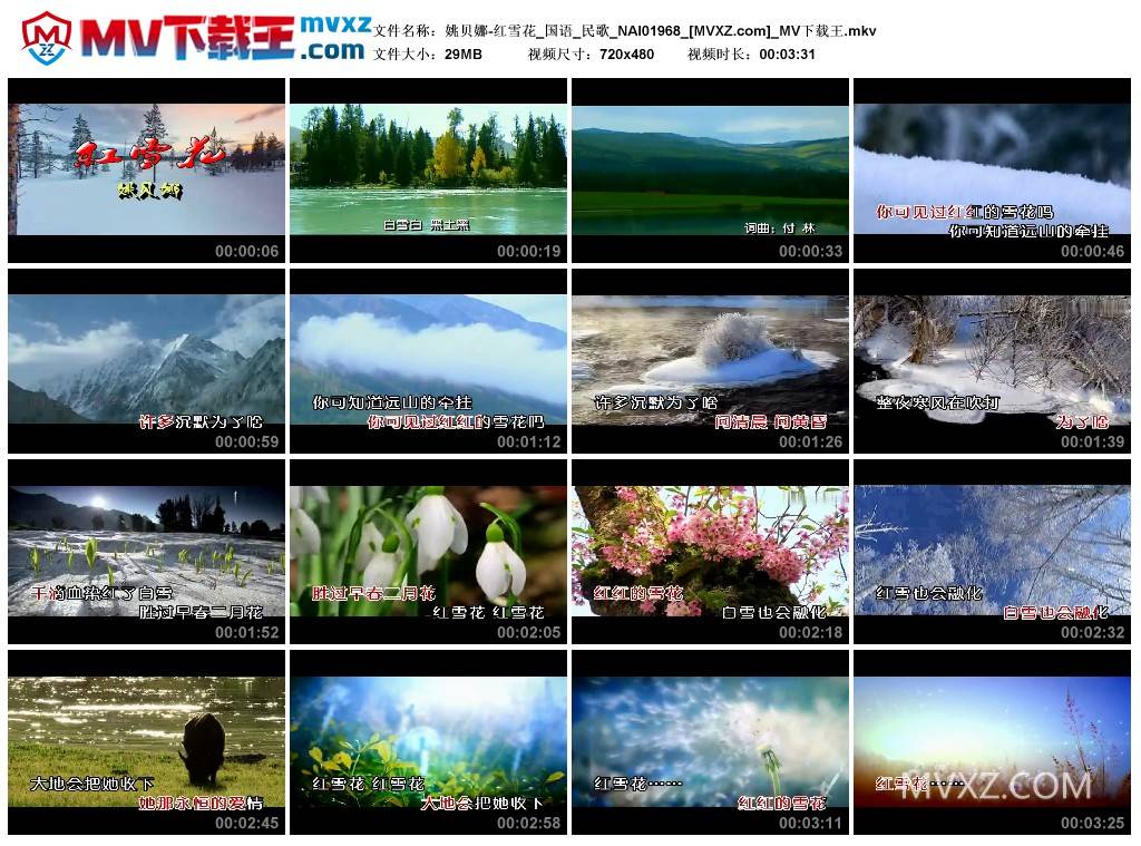 姚贝娜-红雪花_国语_民歌_NAI01968